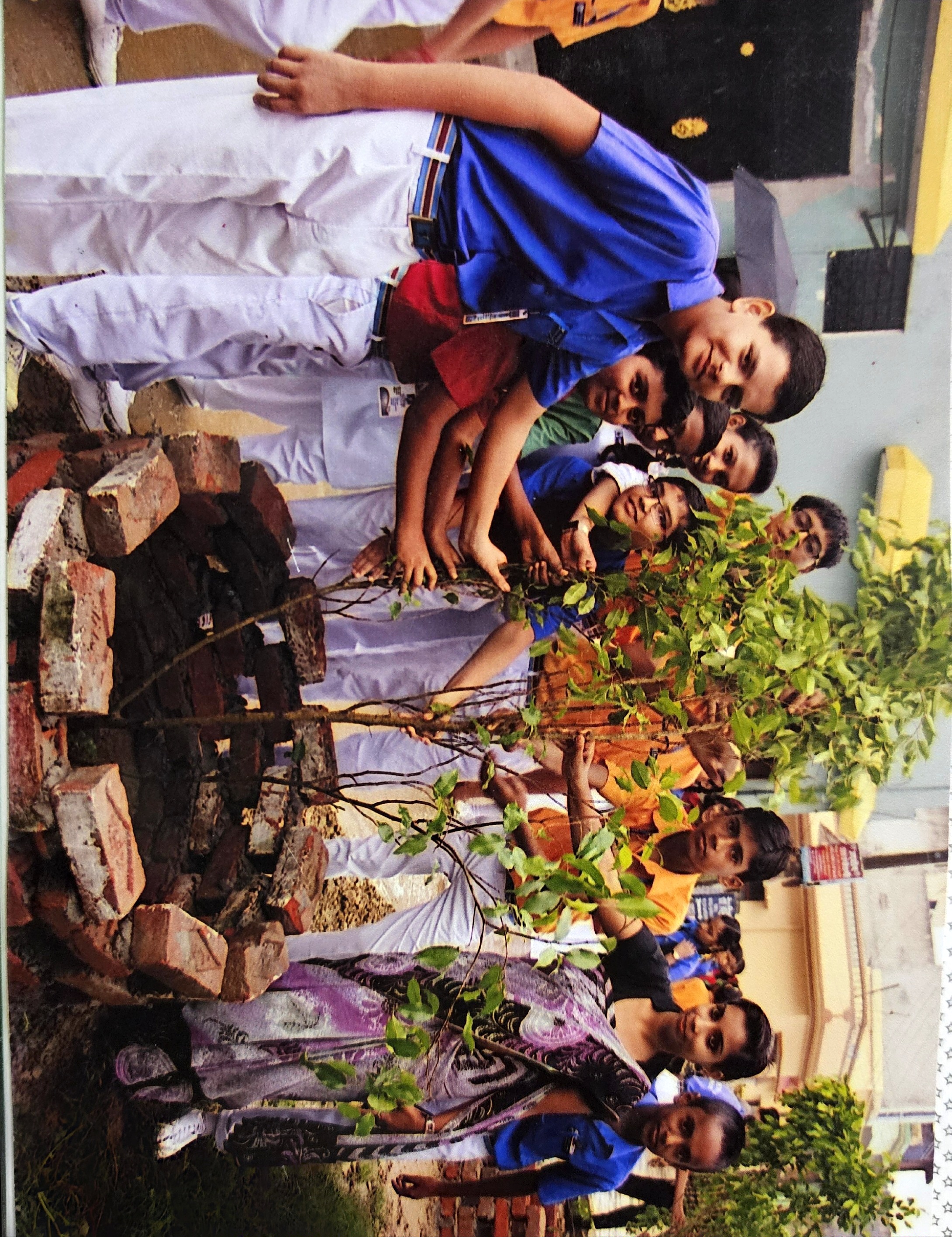 LTS 5000 Trees Planting Campaign